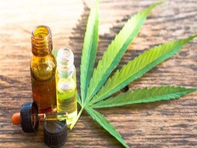 CANNABIS OIL FOR PAIN RELIEF
