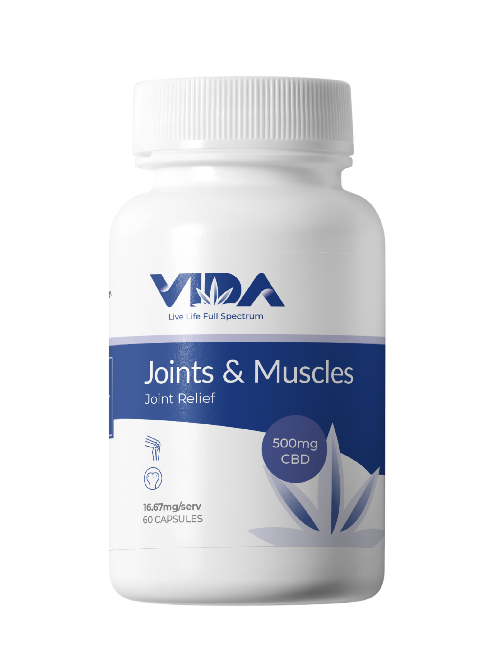 CBD Joint Support Capsules | 500mg